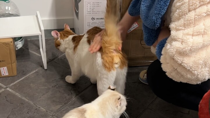 I was so scared—mother and daughter’s bond almost ended right there.