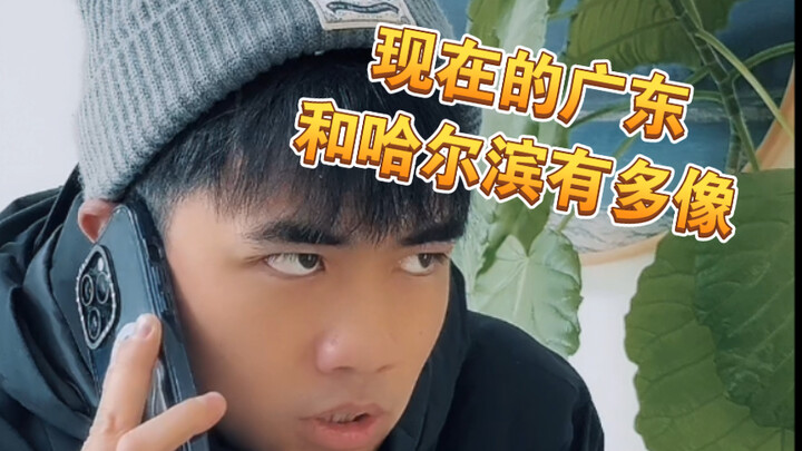 【Mèo Ạ】Người Quảng Đông bây giờ cũng đã có cho riêng mình một “Nhĩ Bân” rồi!