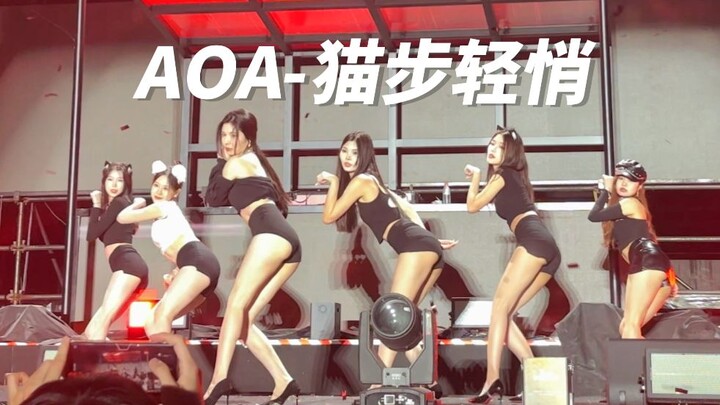 选择一只小猫吧【AOA-猫步轻悄】女高减速带 长腿美女与小狸猫 欢乐谷电音舞台翻跳