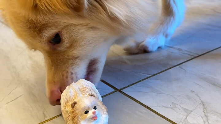 Hôm nay mẹ đi săn một kiểu khác!