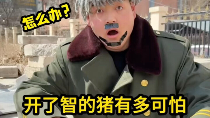 Babi yang sudah "mendapat kebijaksanaan" ternyata bisa sebegitu menakutkannya?