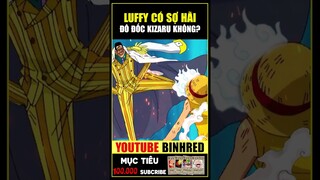 Luffy có sợ đô đốc Kizaru không? #onepiece #luffy #shorts