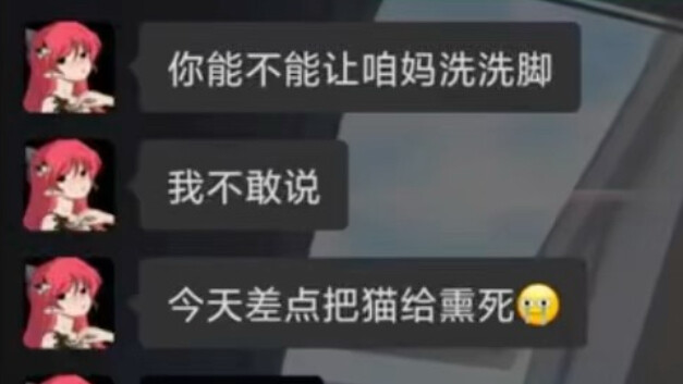 Nyaris mati karena asap saat mengasapi kucing