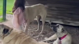 中秋，领导空手慰问一线安保员工