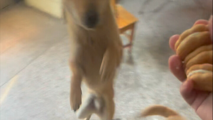 The sun isn't necessarily in the sky.