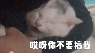 Taobao: As long as I close my eyes tightly enough, eye drops won't drip in.