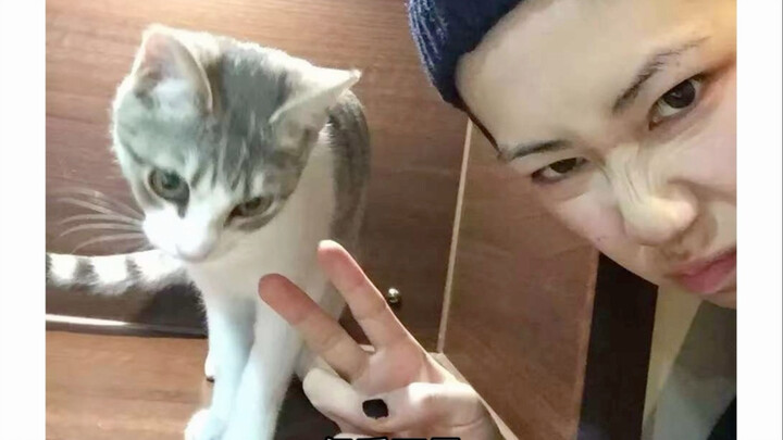 Lulu's siblings all over the world