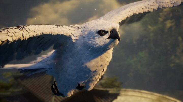 Eagles soar in the sky, fish swim in the shallows, and all creatures compete for freedom in the fros