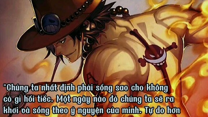 những câu nói hay của one piece