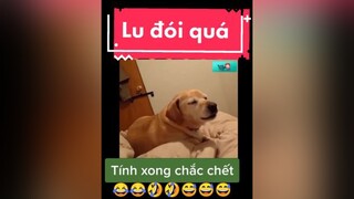 giaitri chócute chómèohàihước Lu đói quá