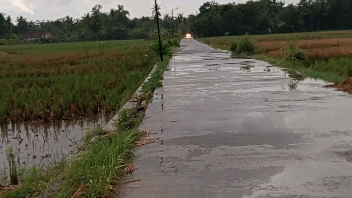 RAIN