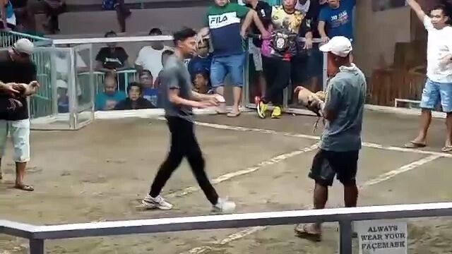 championship fight Ng bulik