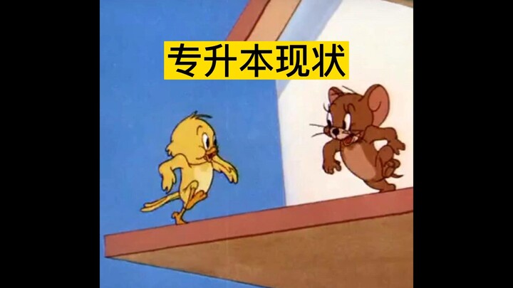 专升本现状