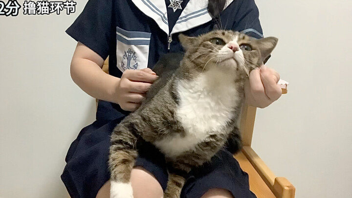 它的人瘾有点严重