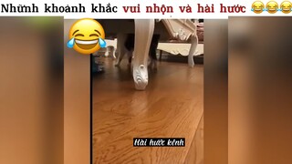 Những khoảnh khắc vui nhộn và hài hước #2#tt#hài#cuoibebung