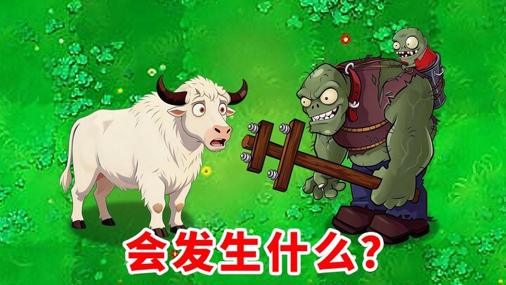 Khi một con bò đầu đàn chạm trán với người khổng lồ, điều gì sẽ xảy ra?