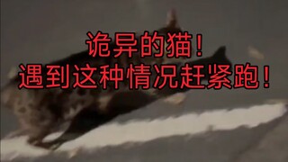 Mèo phát điên! Gặp tình huống này thì mau chạy đi!