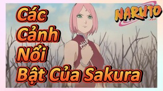 Các Cảnh Nổi Bật Của Sakura