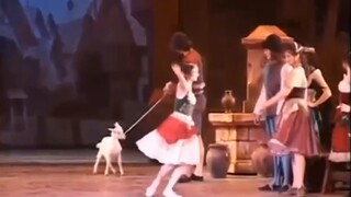 [Ballet][Bolshoi Theatre] Esmeralda is full of rebellious lambs, also known as the little animals. I