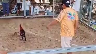 daog pa ang pantusik Ra unta Kay nangarol pa 😂😂😂