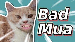 "Bad Guy" เวอร์ชั่นแมวฮา "Bad Mua" แมวของฉันคุณดูดไหวไหม？