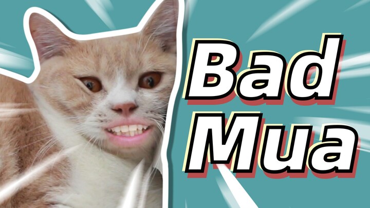 "Bad Guy" versi kucing bodoh "Bad Mua", kalian bisa mencium kucingku?