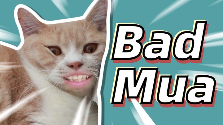 《Bad Guy》沙雕猫咪版《Bad Mua》，我的猫你吸得动吗？