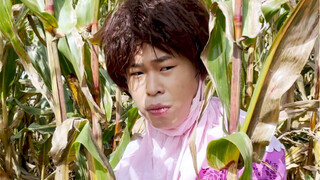 Mencari pekerja untuk memetik jagung, kekurangan tenaga kerja, tempat terbatas, segera daftar