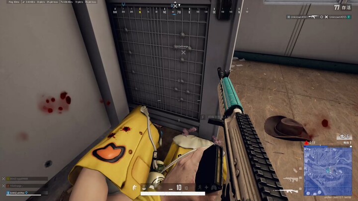 เป็ดเหลืองคู่คาเมน