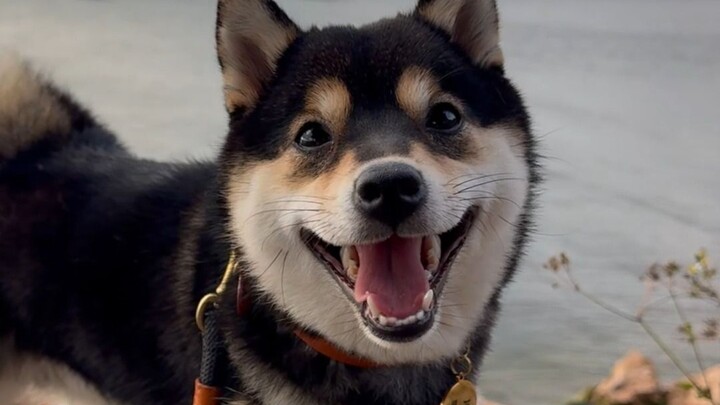 อย่าให้แม็กกี้ได้ยินคำสามคำนี้