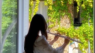 ปราสาทเคลื่อนที่ของฮาวล์ - ม้าหมุนแห่งชีวิต - เวอร์ชันฟลุต