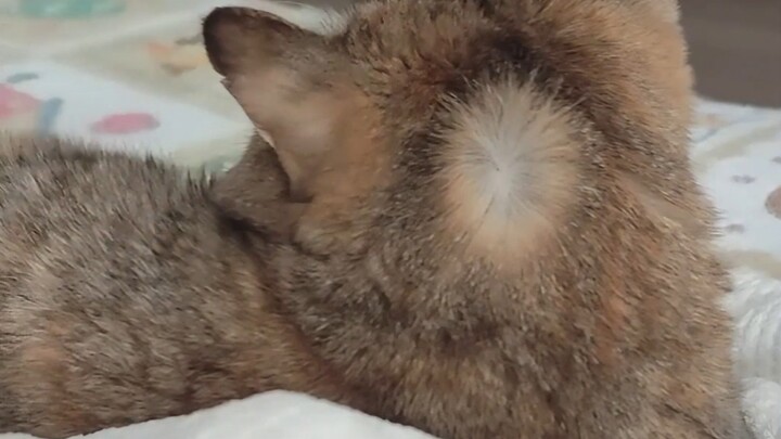 给咣当开一个脑洞