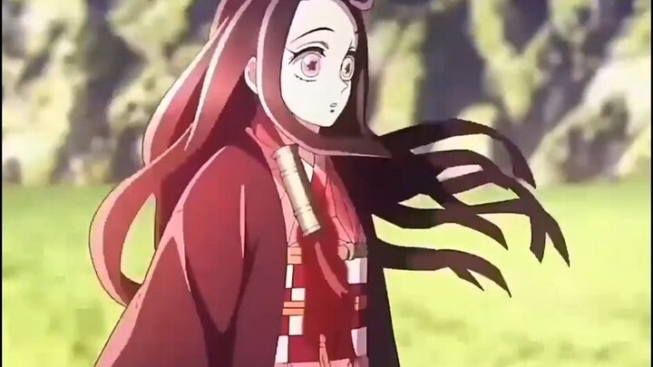 Turns out the wild vegetables by Nezuko’s house are actually blue spider lilies!