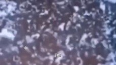 Misteri Antartica