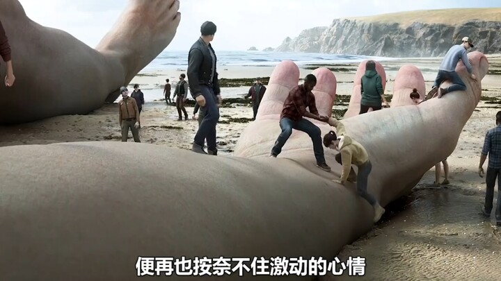 นี่คือยักษ์ใหญ่ที่เกยตื้นอยู่บนชายหาด