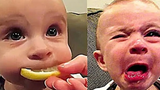 ได้เวลาหัวเราะในทุกส่วนของวิดีโอนี้แล้ว - Funny Babies Tasting Lemon เป็นครั้งแรก