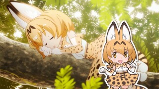 TVアニメ『けものフレンズ』主題歌「ようこそジャパリパークへ / どうぶつビスケッツ×PPP」
