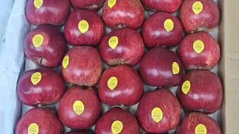 indian fresh apple #good health #food#indian food#shorts#viral#desi #india