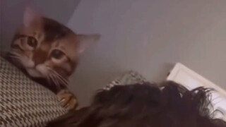 Tag orang terlucu dan paling menarik untuk dilihat