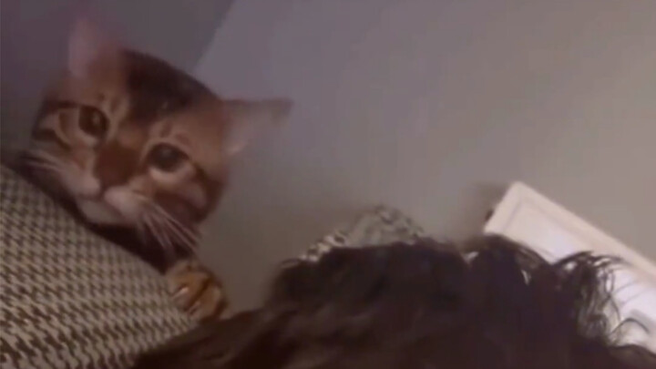 Tag orang terlucu dan paling menarik untuk dilihat