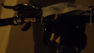 宝可梦听了 逃离了战斗