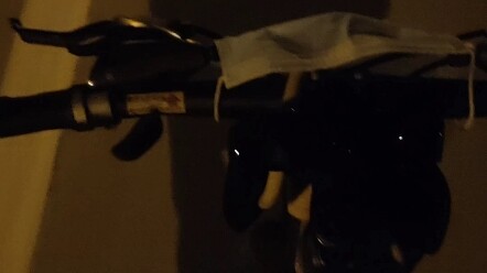 Pokémon mendengarnya dan melarikan diri dari pertempuran