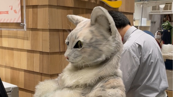 Asisten toko kucing sedang dalam perjalanan bisnis ke Osaka! Rasakan layanan kucing yang imersif!