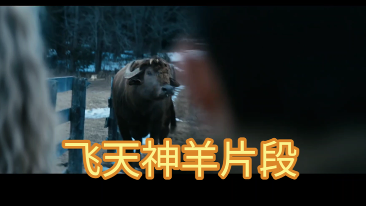 这段看懵了，法兰奇离谱发言，逗死了！