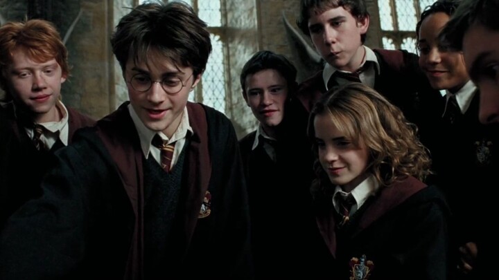 Harry Potter | Everyone at Their Peak Looks — Not a Single One Can Be Missing