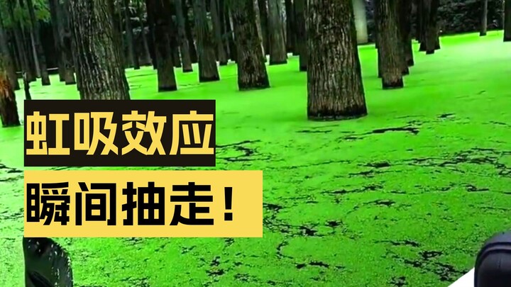Saat berada di alam liar, jangan sekali-kali masuk ke perairan seperti ini untuk berenang—jangan sam