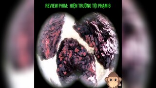 review phim: Hiện trường phạm tội 6 p2 #review