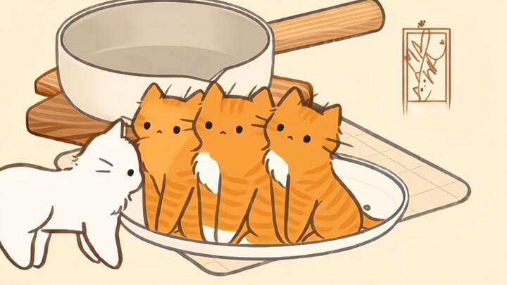 Kucing lucu menyembuhkan hari ini