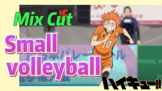 [Haikyuu!!]  Mix cut |  Small volleyball