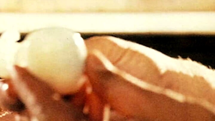 فيلم هروب من السجن عميق الأثر